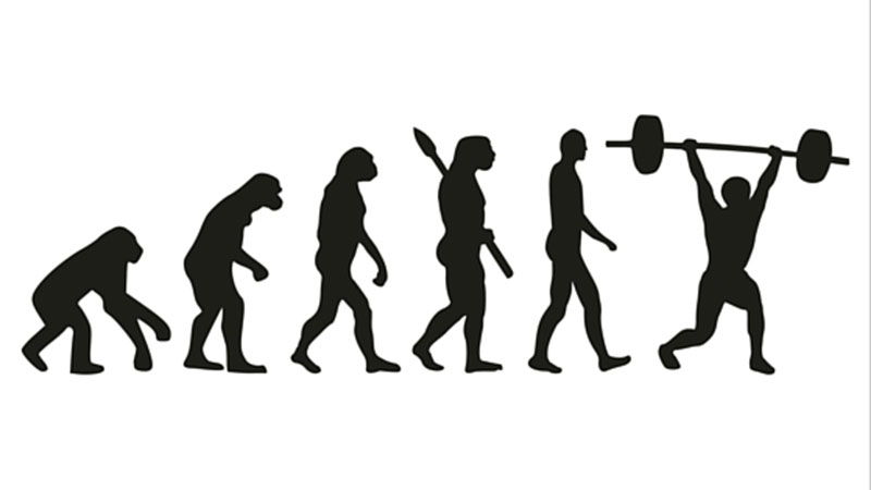 Evolve Your Training