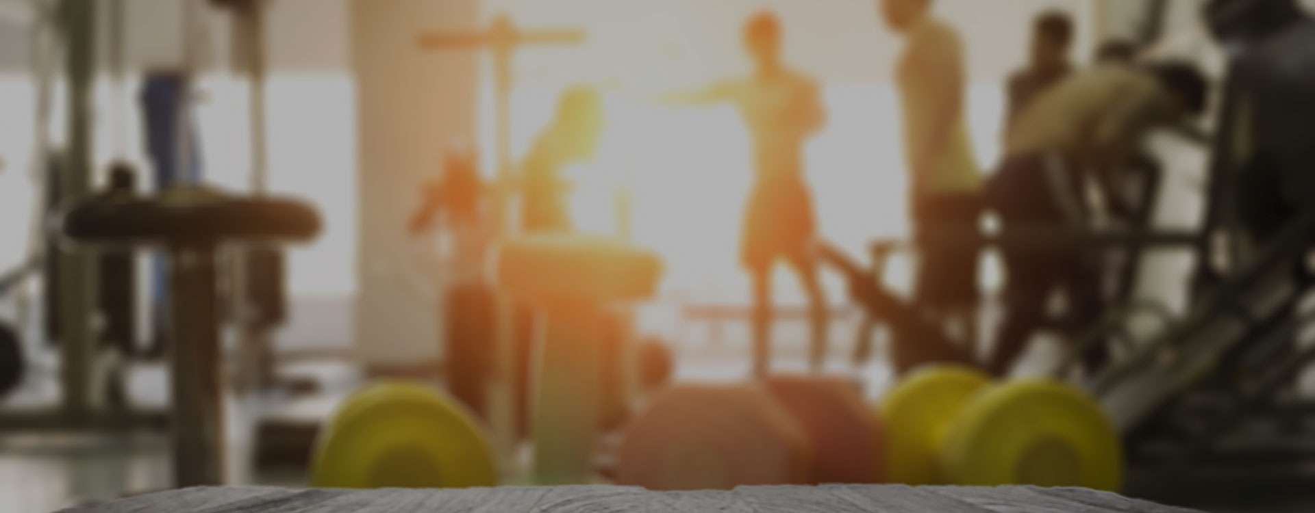 Our Services That Transform You